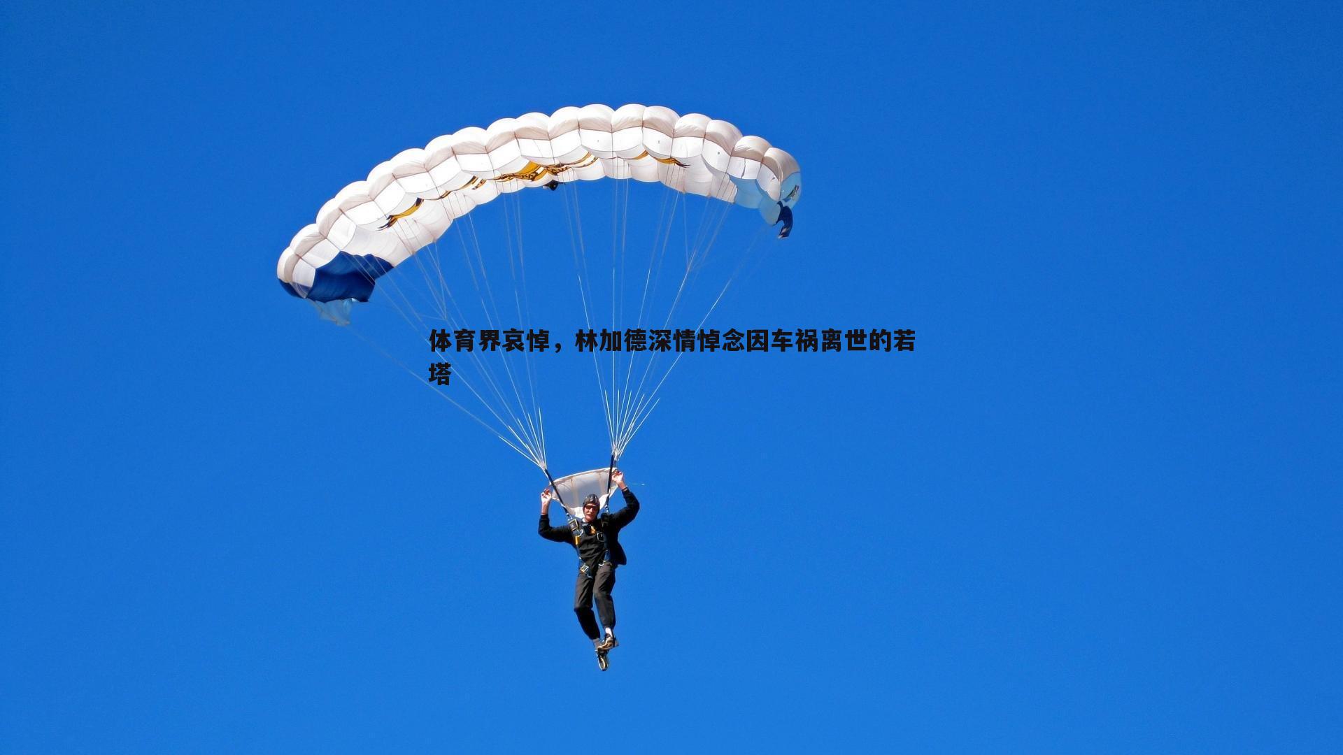 体育界哀悼，林加德深情悼念因车祸离世的若塔