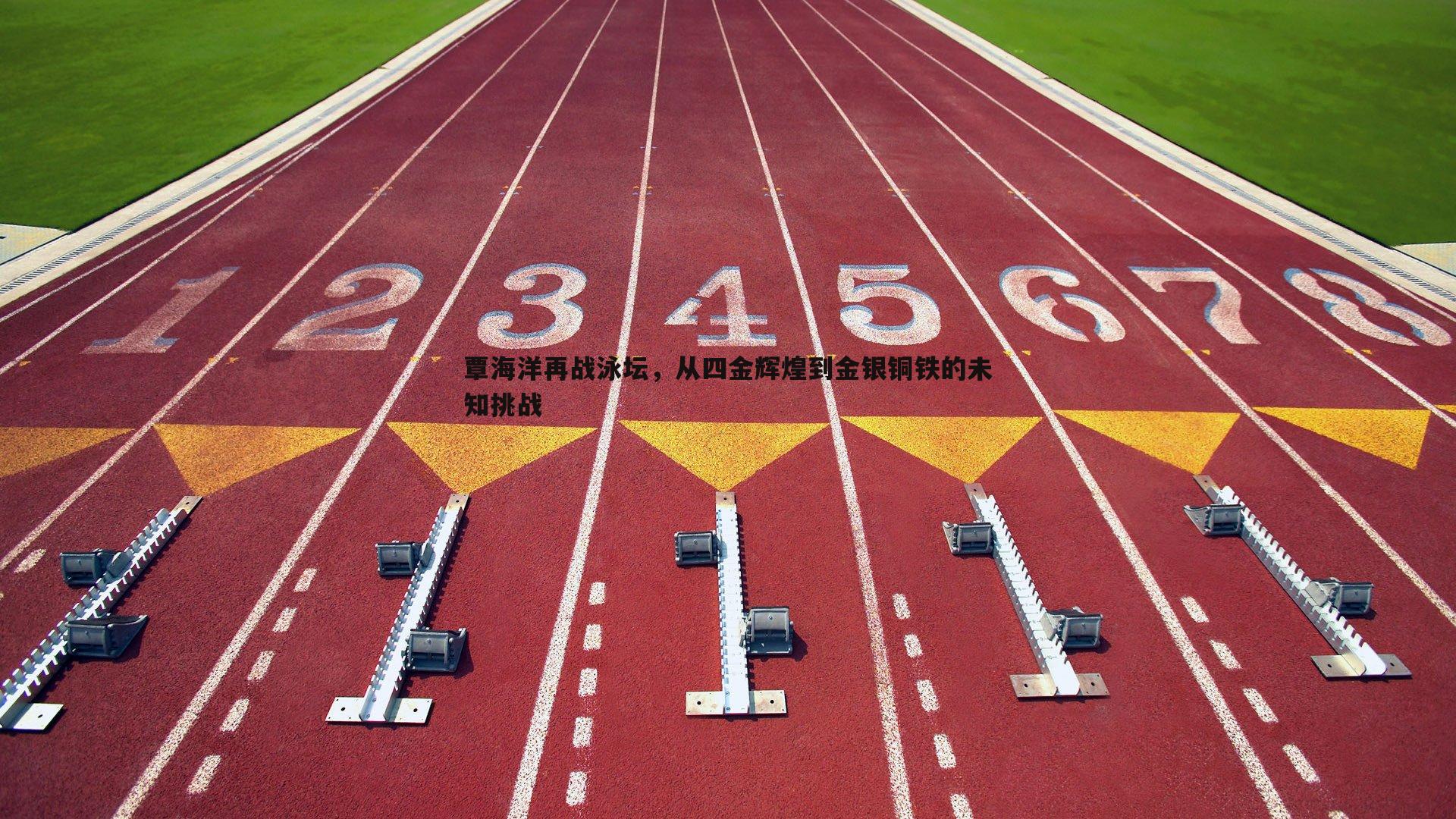 金年会-覃海洋再战泳坛，从四金辉煌到金银铜铁的未知挑战