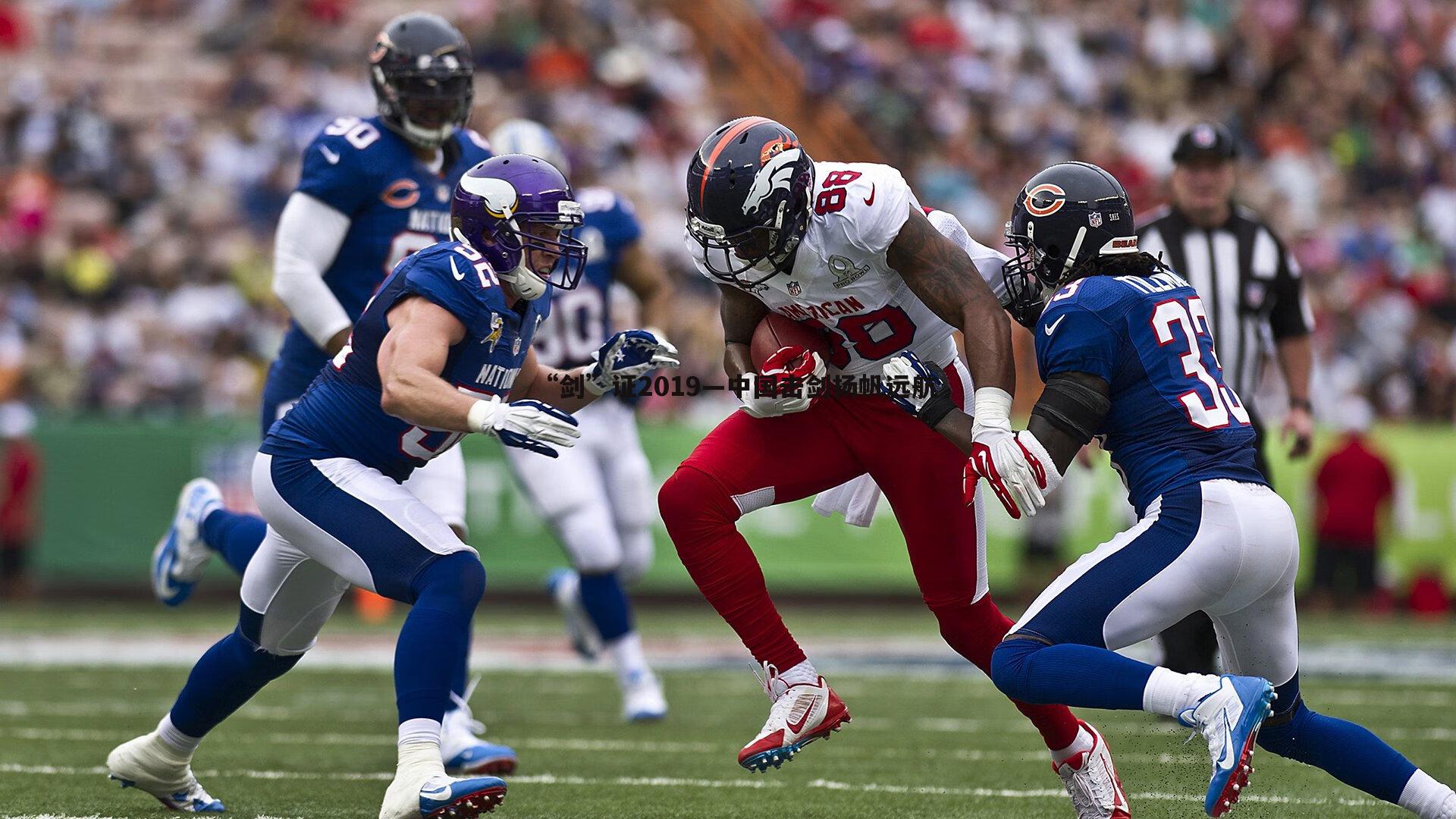 “剑”证2019—中国击剑扬帆远航