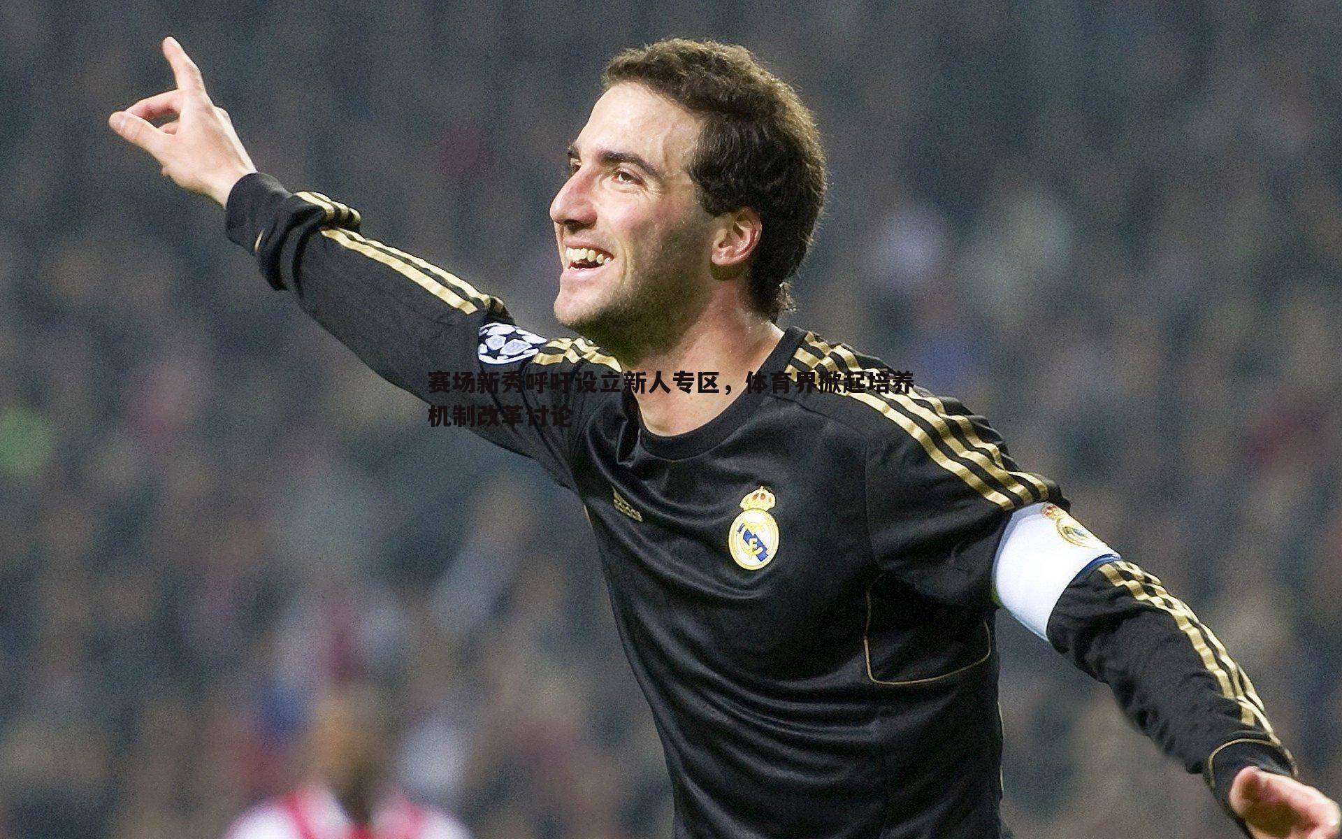 赛场新秀呼吁设立新人专区,体育界掀起培养机制改革讨论